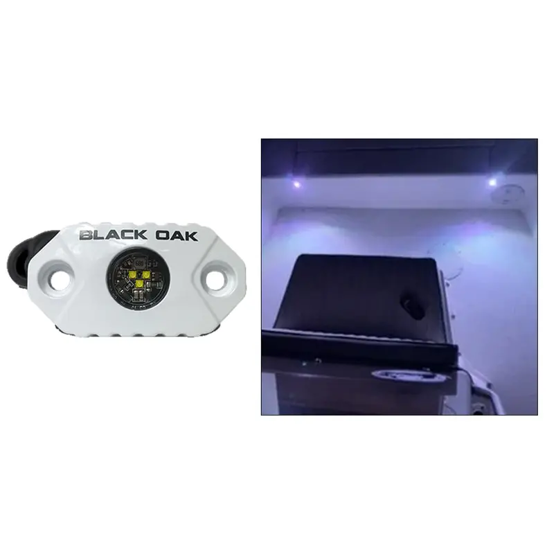 Black Oak Rock Accent Light - White Leds - White Housing 1