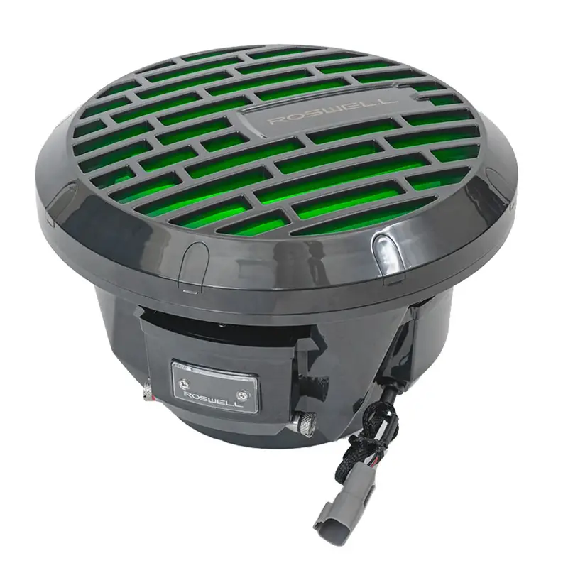 Roswell R1 10" Subwoofer - Anthracite - 250W Rms  500W Peak Power 1