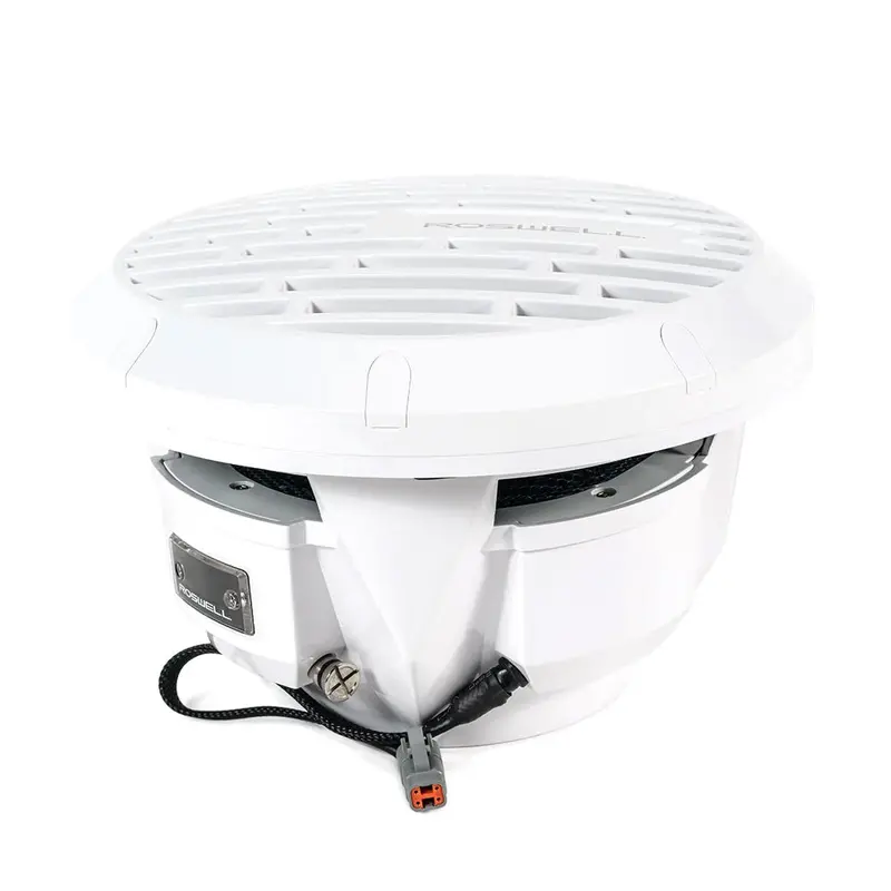 Roswell R1 10" Subwoofer - White - 250W Rms  500W Peak Power 1