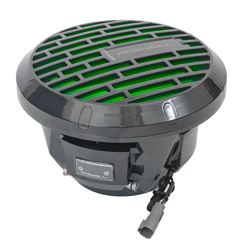 Roswell Rma 10" Subwoofer - Black - 250W Rms  500W Peak Power 1