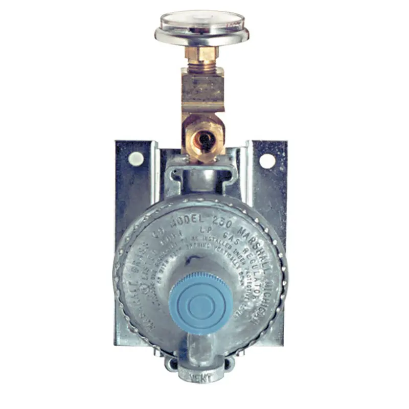 Trident Marine Single Stage Regulator W/300 Psi Pressure Gauge W/Wall Mount 1