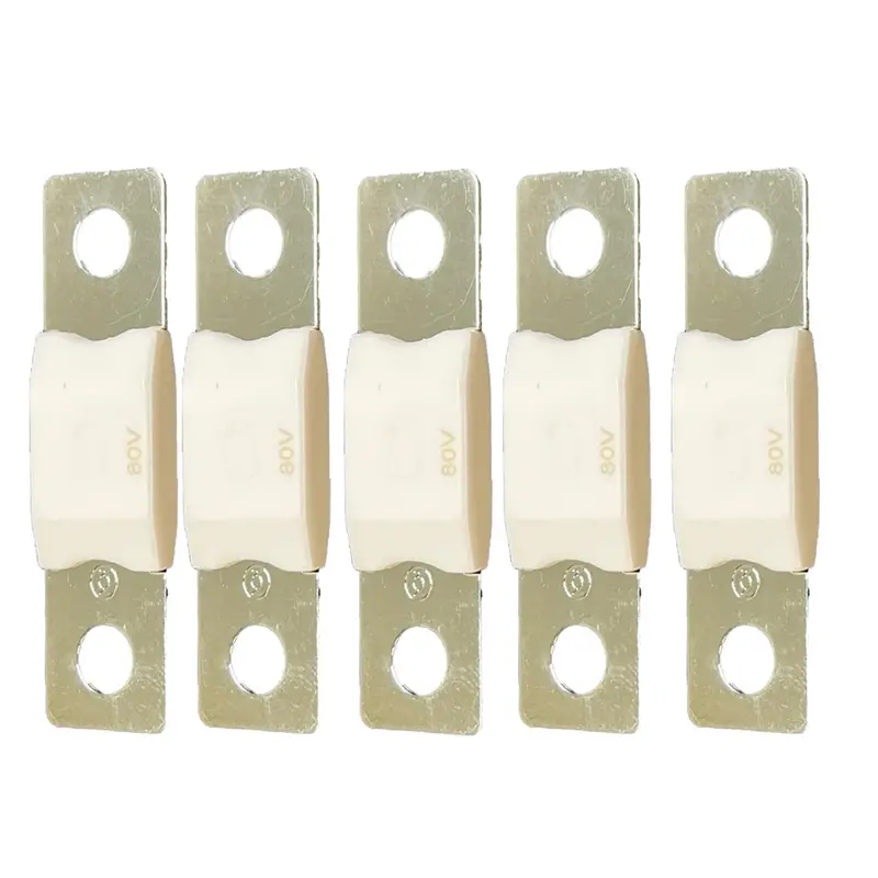 Victron Mega Fuse 100A/80V (Package Of 5 Pieces) 1