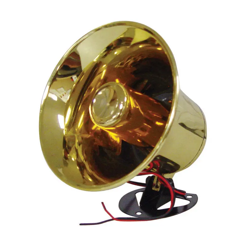 Xxx Pa Speaker 250 Watts 1